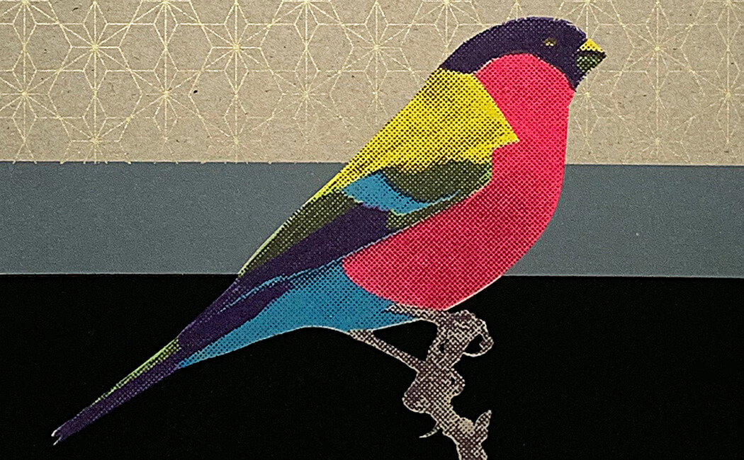 Detailansicht - Paradiesvogel