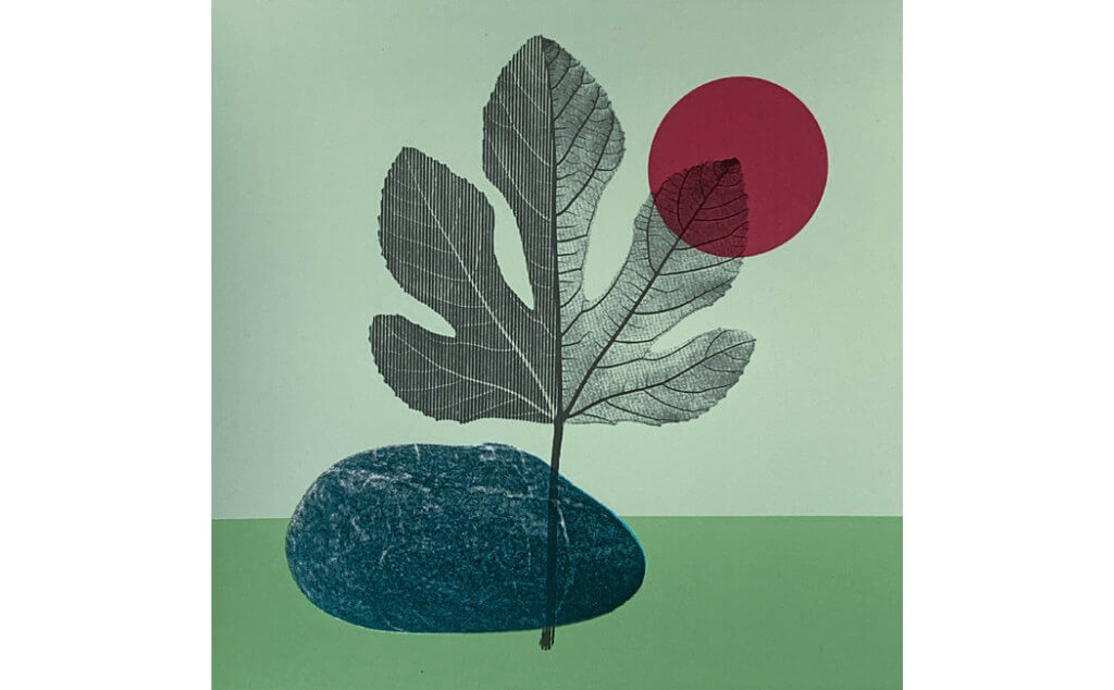 Feigenbatt - Siebdruck, 20cm x 20cm