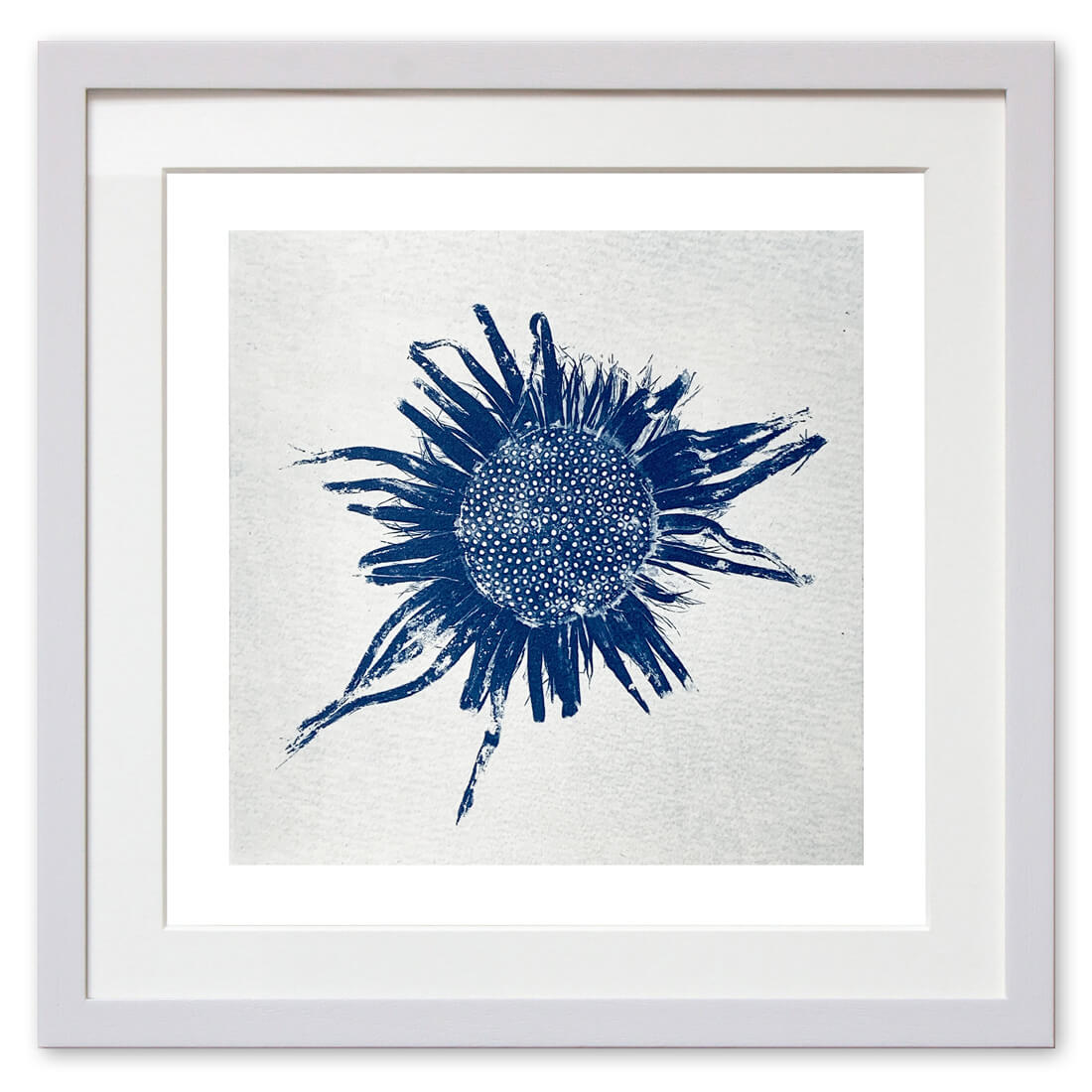 Qunstwerk - Cyanotypie gerahmt | Silberdistel - Cyanotypie auf Papier